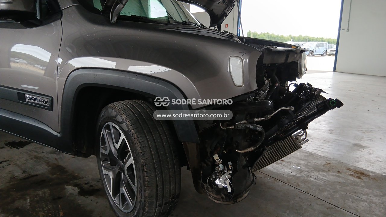 Foto 12 de 13: JEEP - RENEGADE LNGTD AT 2018/2019