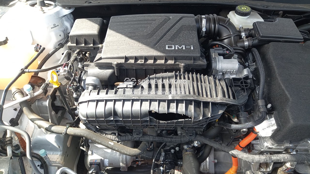 Foto 10 de 13: BYD - KING GL DM 2024/2025
