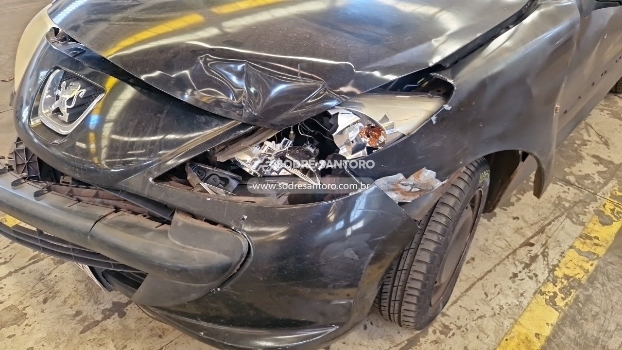 Foto 11 de 13: PEUGEOT - 207HB XLINE 2010/2011