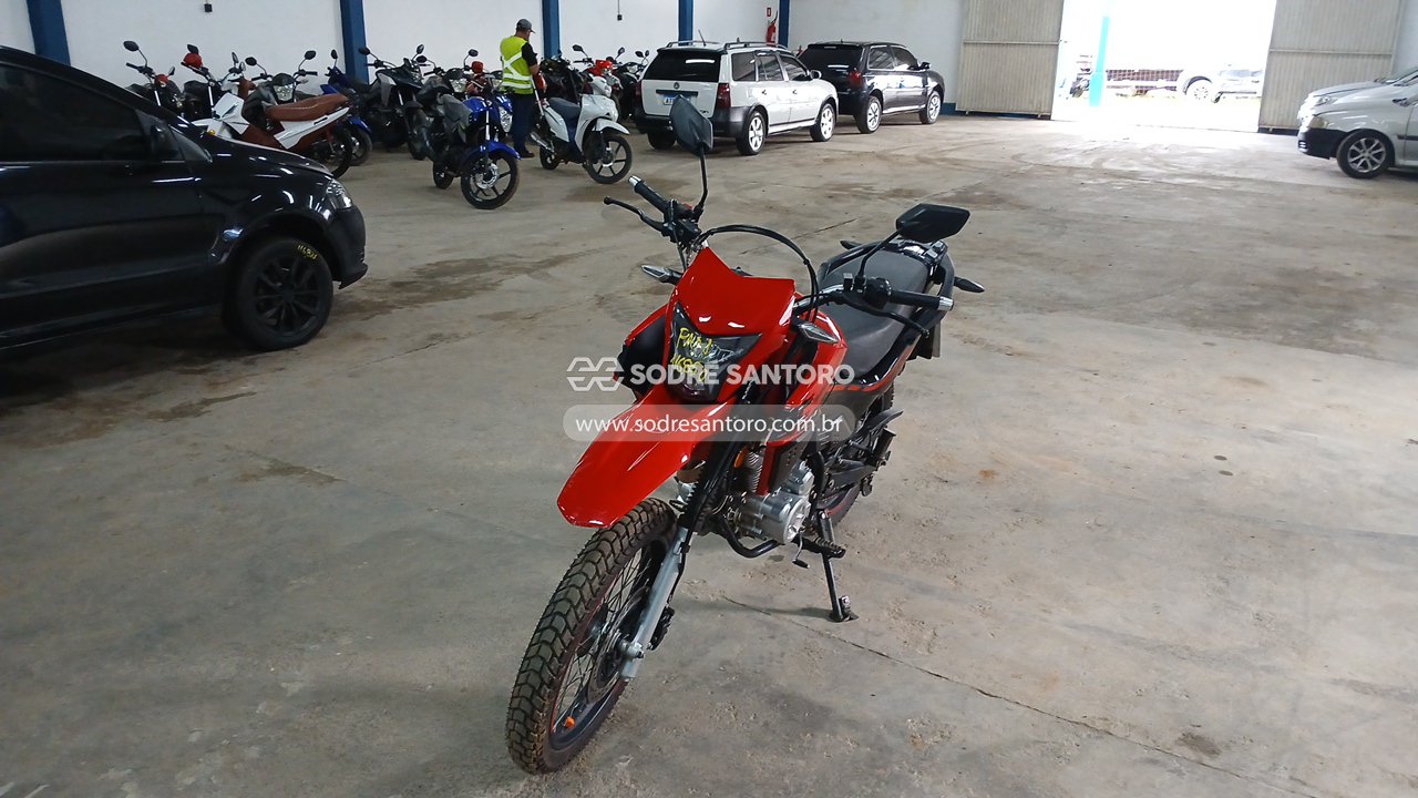 Foto 3: SHINERAY - SHI 175 2024/2025
