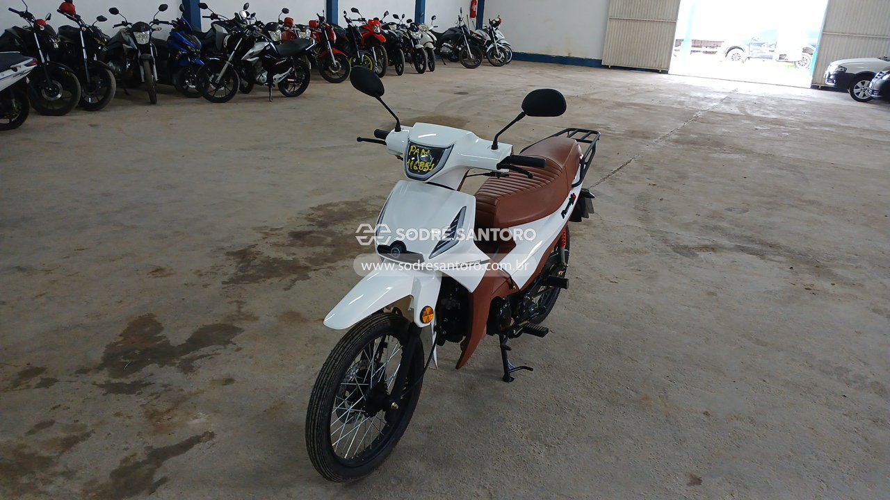 Foto 3: SHINERAY - SHI 50 S 2025/2026